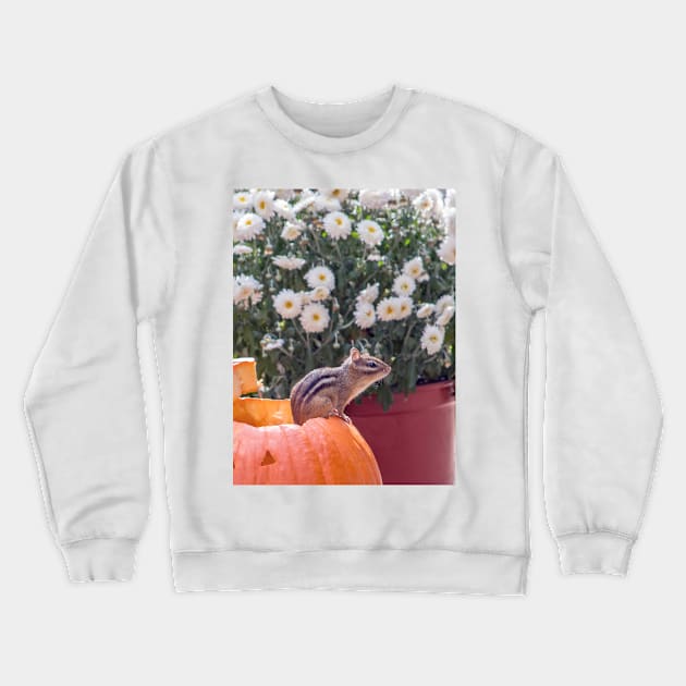 Tiny chipmunk on Halloween pumpkin Crewneck Sweatshirt by iyd39